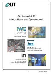 Studienmodell 22 Mikro-, Nano- und Optoelektronik - am IWE - KIT