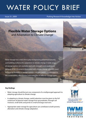 Flexible water storage options - International Water Management ...