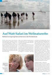 Auf Wattsafari im Weltnaturerbe - Iwss.org