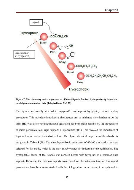 Thesis final - after defense-7 - Jacobs University