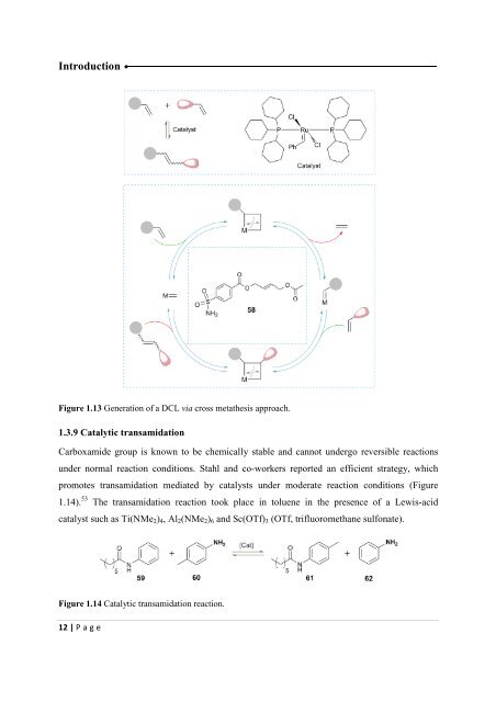 The Development of Novel Antibiotics Using ... - Jacobs University