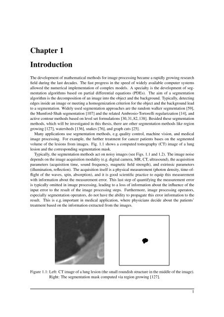 Segmentation of Stochastic Images using ... - Jacobs University