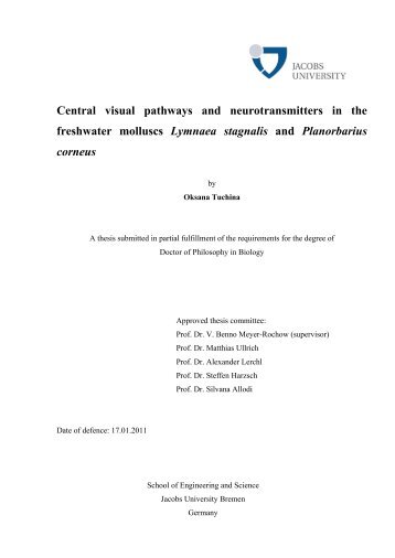 Central visual pathways and neurotransmitters in ... - Jacobs University