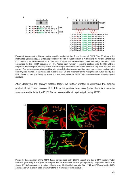 PhD Thesis of Ina Bock - digital version - Jacobs University