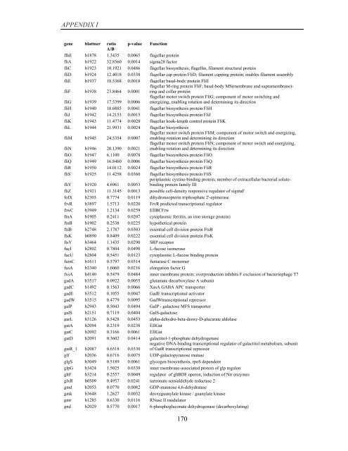 Coordinated regulation of gene expression by E ... - Jacobs University