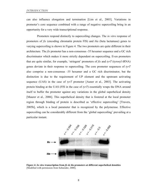 Coordinated regulation of gene expression by E ... - Jacobs University