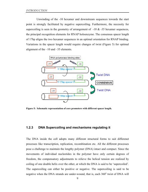 Coordinated regulation of gene expression by E ... - Jacobs University