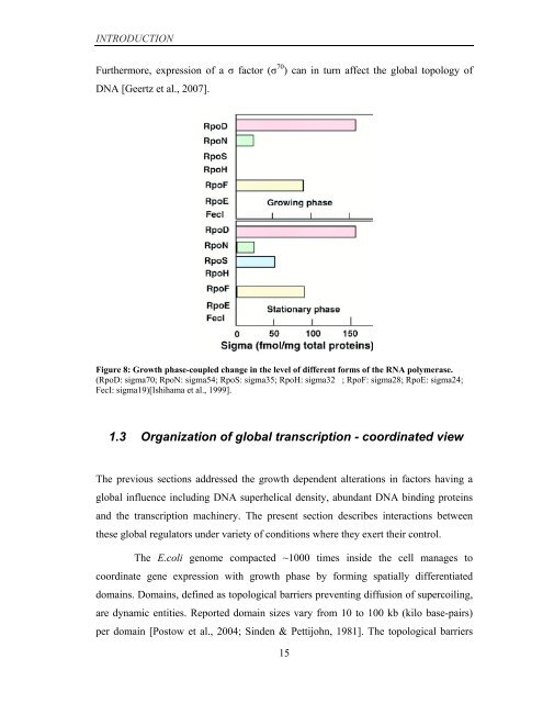 Coordinated regulation of gene expression by E ... - Jacobs University