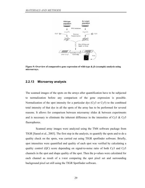 Coordinated regulation of gene expression by E ... - Jacobs University