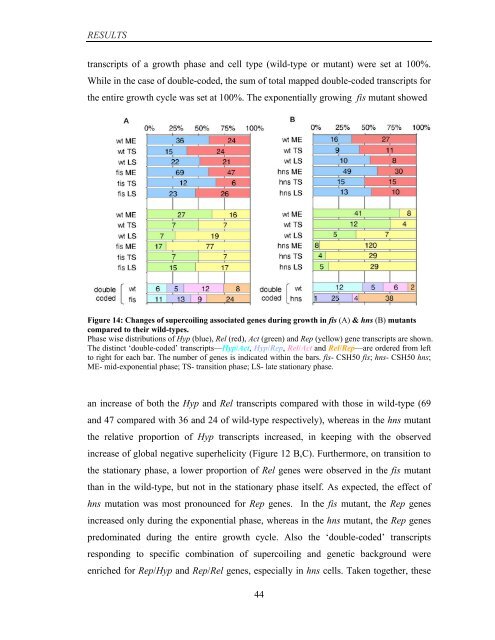 Coordinated regulation of gene expression by E ... - Jacobs University