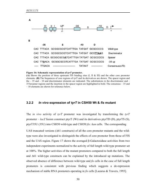 Coordinated regulation of gene expression by E ... - Jacobs University