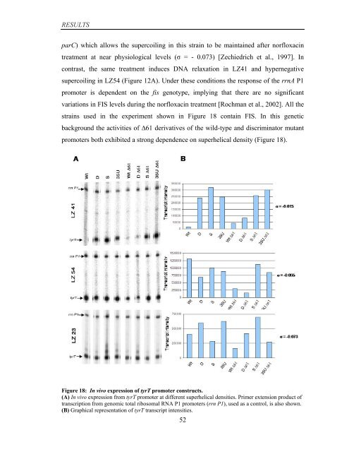 Coordinated regulation of gene expression by E ... - Jacobs University