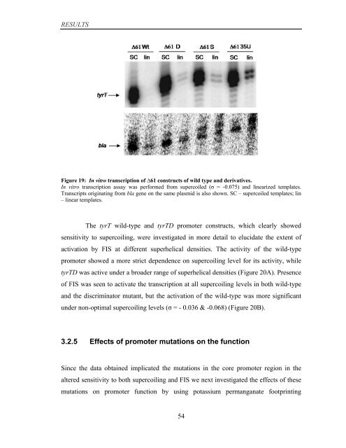 Coordinated regulation of gene expression by E ... - Jacobs University