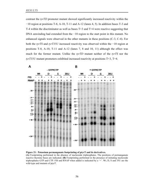 Coordinated regulation of gene expression by E ... - Jacobs University