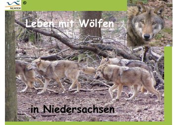 Leben mit Wölfen in Niedersachsen - Jägerschaft des Landkreises ...