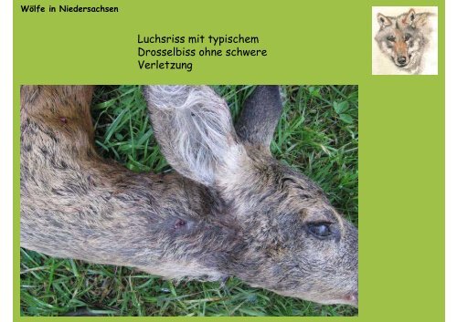 Leben mit Wölfen in Niedersachsen - Jägerschaft des Landkreises ...