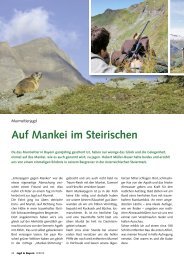 Auf Mankei im Steirischen