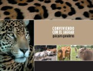Conviviendo con el jaguar - Panthera / Costa Rica