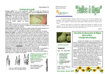 Bulles Ã  thym nÂ°20 - Jardiniers de Tournefeuille