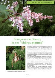 FranÃ§oise de Dreuzy et son jardin : Pages 24 Ã  27 - Association des ...