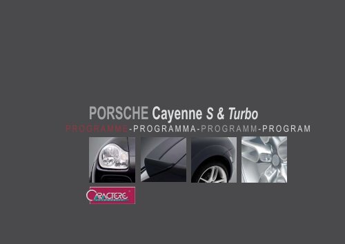 CAYENNE S.pdf - Soft Tuning