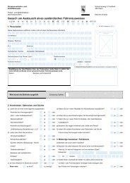 Gesuch um Austausch eines auslÃ¤ndischen FÃ¼hrerausweises - Polizei