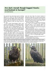 Are dark morph Rough-legged Hawks overlooked in Europe?
