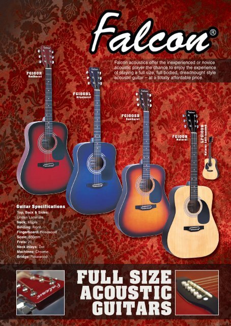 FULL SIZE ACOUSTIC GUITARS - JHS