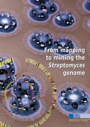 From mapping to mining the Streptomyces genome - John Innes ...