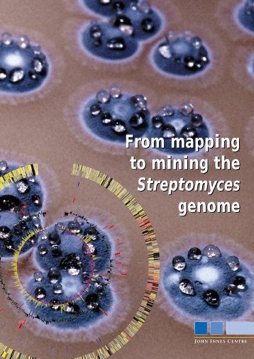 From mapping to mining the Streptomyces genome - John Innes ...