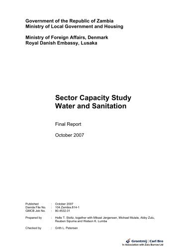 Capacity Study Zambia Report - Final - JICA