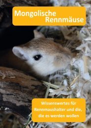 Rennmausbuch-Basisbuch.pdf