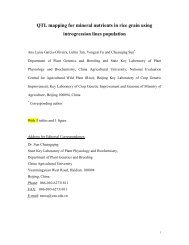 QTL mapping for mineral nutrients in rice grain using introgression ...