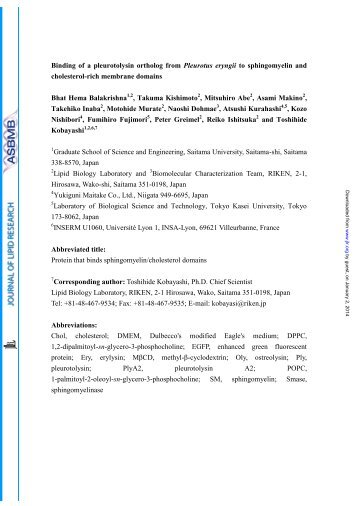 Binding of a pleurotolysin ortholog from Pleurotus eryngii to ...