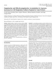 (L) Cell Suspension Cultures Exposed to Yeast Extract