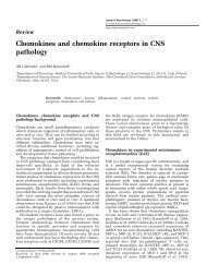 Chemokines and chemokine receptors in CNS pathology