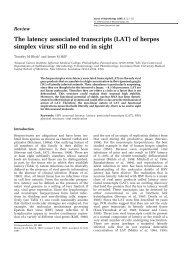 (LAT) of herpes simplex virus - Journal For Neurovirology