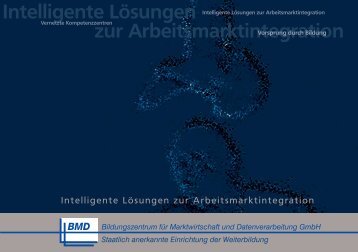 BMD GmbH - Job-direkt 100