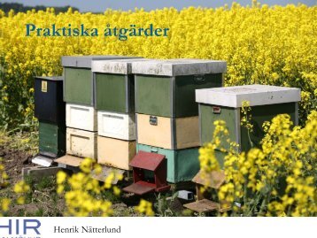 Praktiska åtgärder - Jordbruksverket