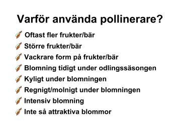 Hur pollinerar humlor och bin? - Jordbruksverket