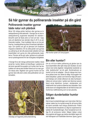 Så här gynnar du pollinerande insekter på din gård - Jordbruksverket