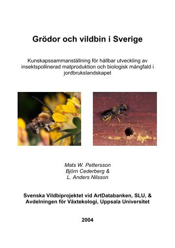 Grödor och vildbin i Sverige - Jordbruksverket