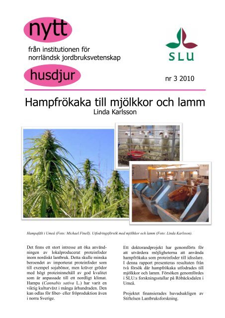 Hampfrökaka till mjölkkor och lamm - SLU