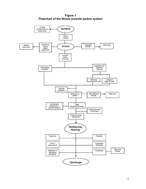 Juvenile Justice System and Risk Factor Data - Illinois Criminal ...