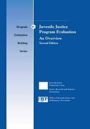 Juvenile Justice Program Evaluation - An Overview (Second Edition)