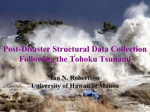 Tohoku Tsunami Survey