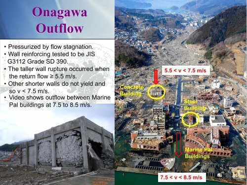 Tohoku Tsunami Survey