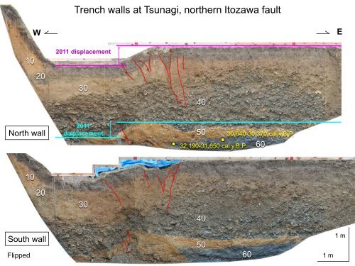 Paleoseismology and paleotsunamis of the NE Japan subduction ...