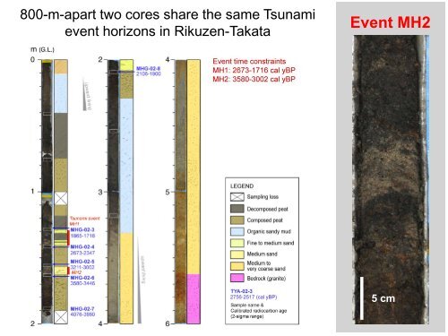 Paleoseismology and paleotsunamis of the NE Japan subduction ...