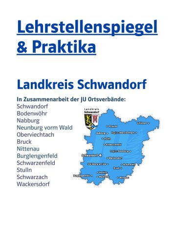 Lehrstellenspiegel 2010 herunterladen - JU Kreisverband Schwandorf